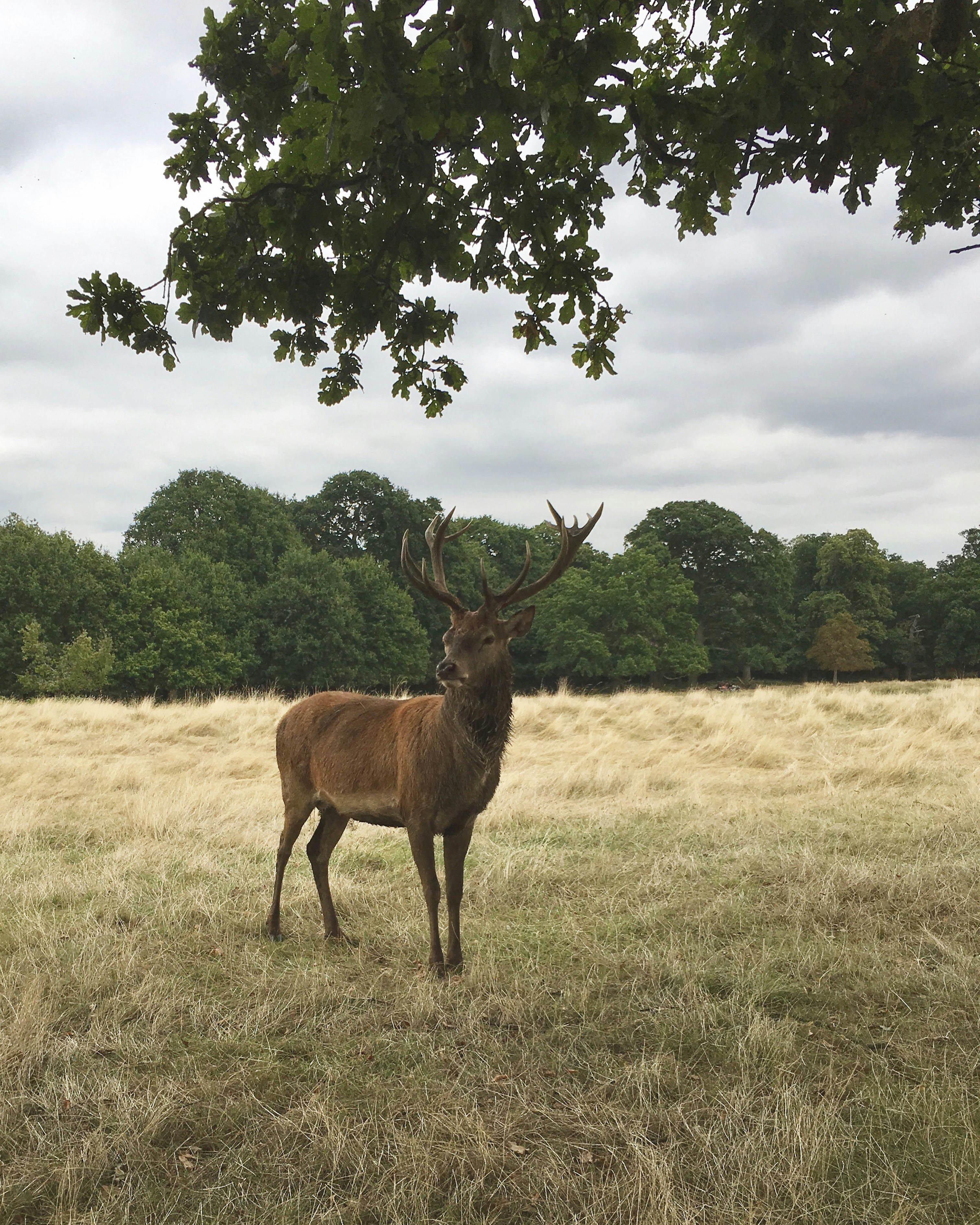 Free Unsplash photo from María Benavente