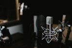 macro photography of silver and black studio microphone condenser