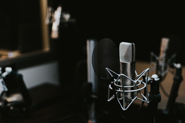 macro photography of silver and black studio microphone condenser