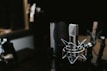 macro photography of silver and black studio microphone condenser
