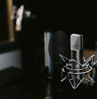 macro photography of silver and black studio microphone condenser