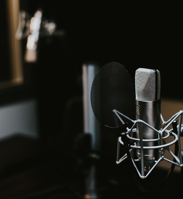 macro photography of silver and black studio microphone condenser