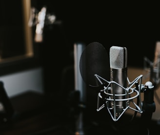 macro photography of silver and black studio microphone condenser