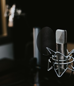 macro photography of silver and black studio microphone condenser