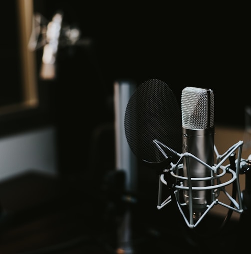 macro photography of silver and black studio microphone condenser