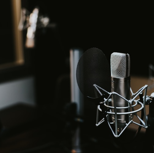 macro photography of silver and black studio microphone condenser