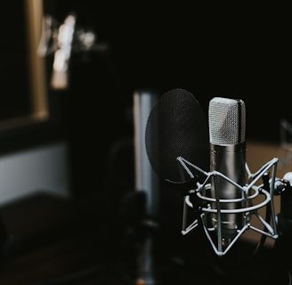 macro photography of silver and black studio microphone condenser