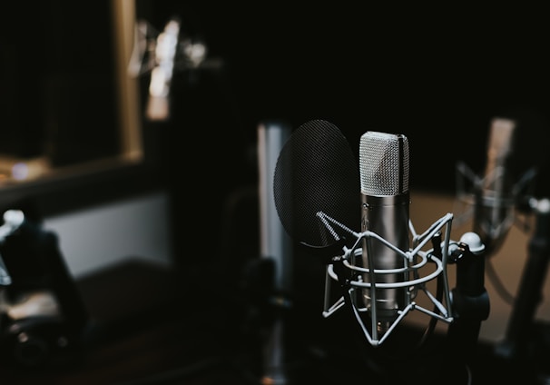 macro photography of silver and black studio microphone condenser