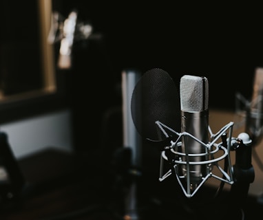 macro photography of silver and black studio microphone condenser