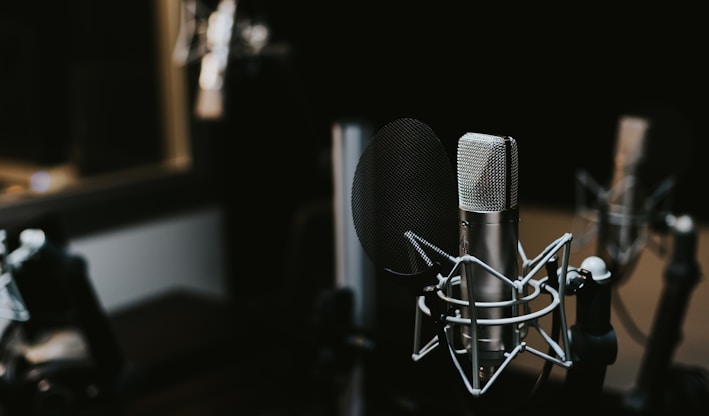 macro photography of silver and black studio microphone condenser