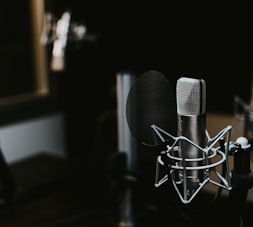 macro photography of silver and black studio microphone condenser