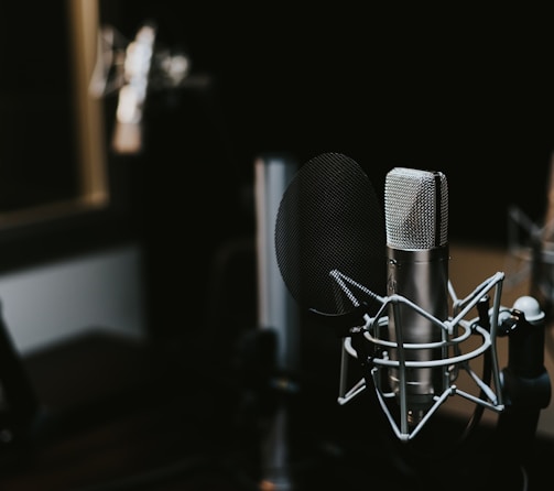 macro photography of silver and black studio microphone condenser