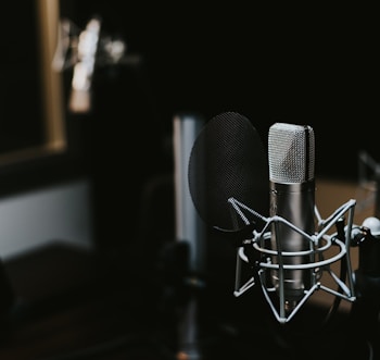 macro photography of silver and black studio microphone condenser