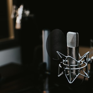 macro photography of silver and black studio microphone condenser