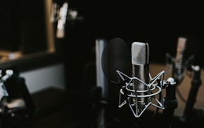 macro photography of silver and black studio microphone condenser