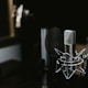 macro photography of silver and black studio microphone condenser