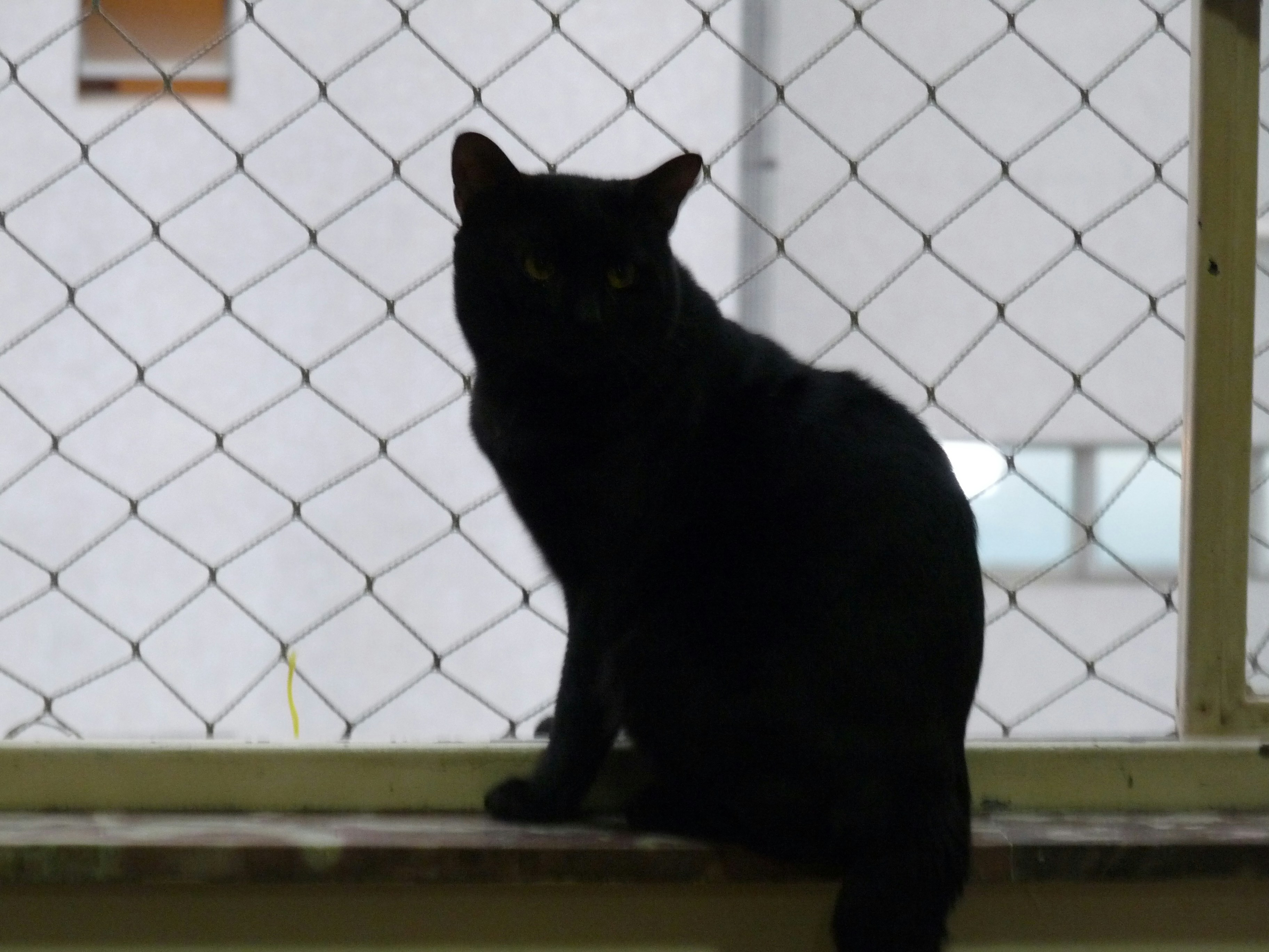 Free Unsplash photo from Nelson Biagio Junior