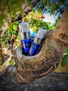 Two bottles of product with blue labeling are nestled in the crook of a tree. The background is a lush outdoor scene with green leaves and branches, creating a natural setting.