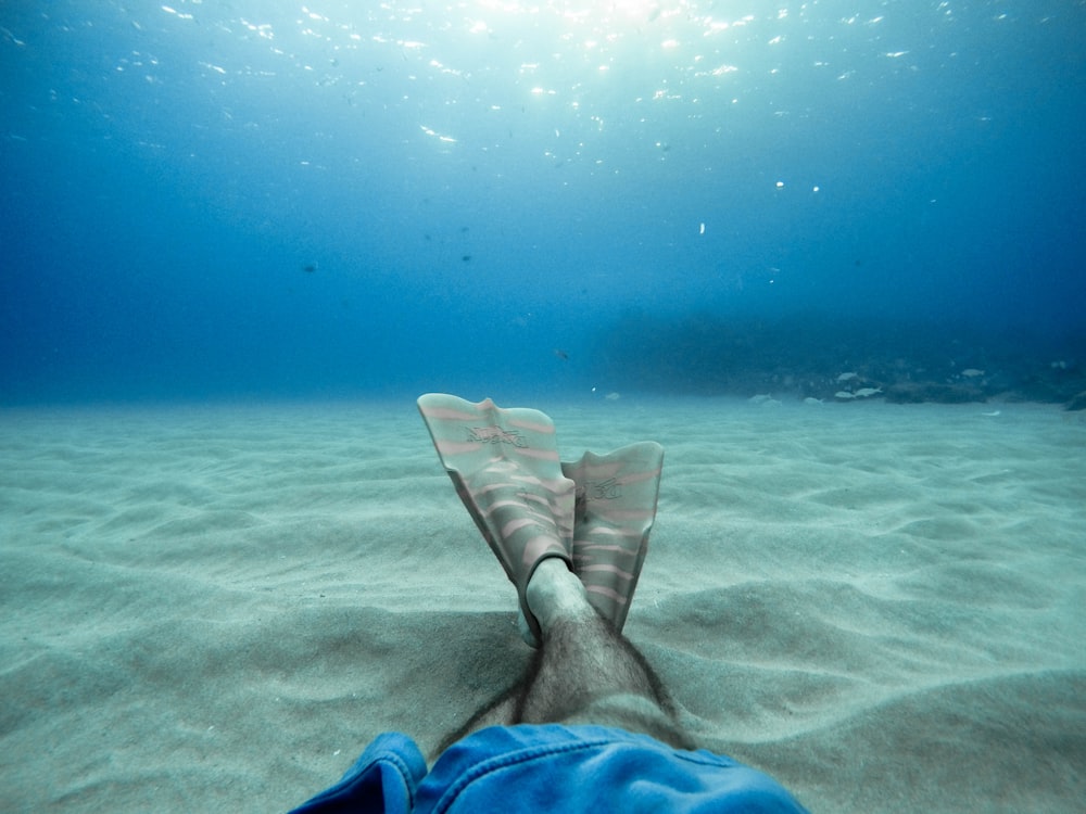 person wearing flippers diving on sea