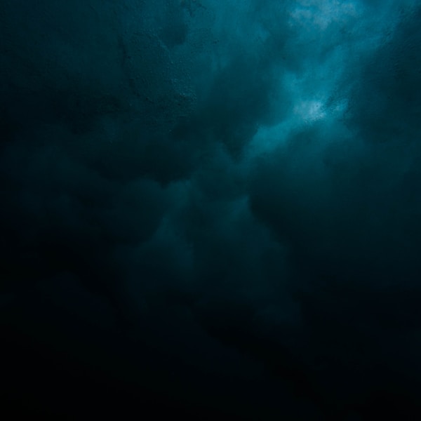 Shadows of Midnight