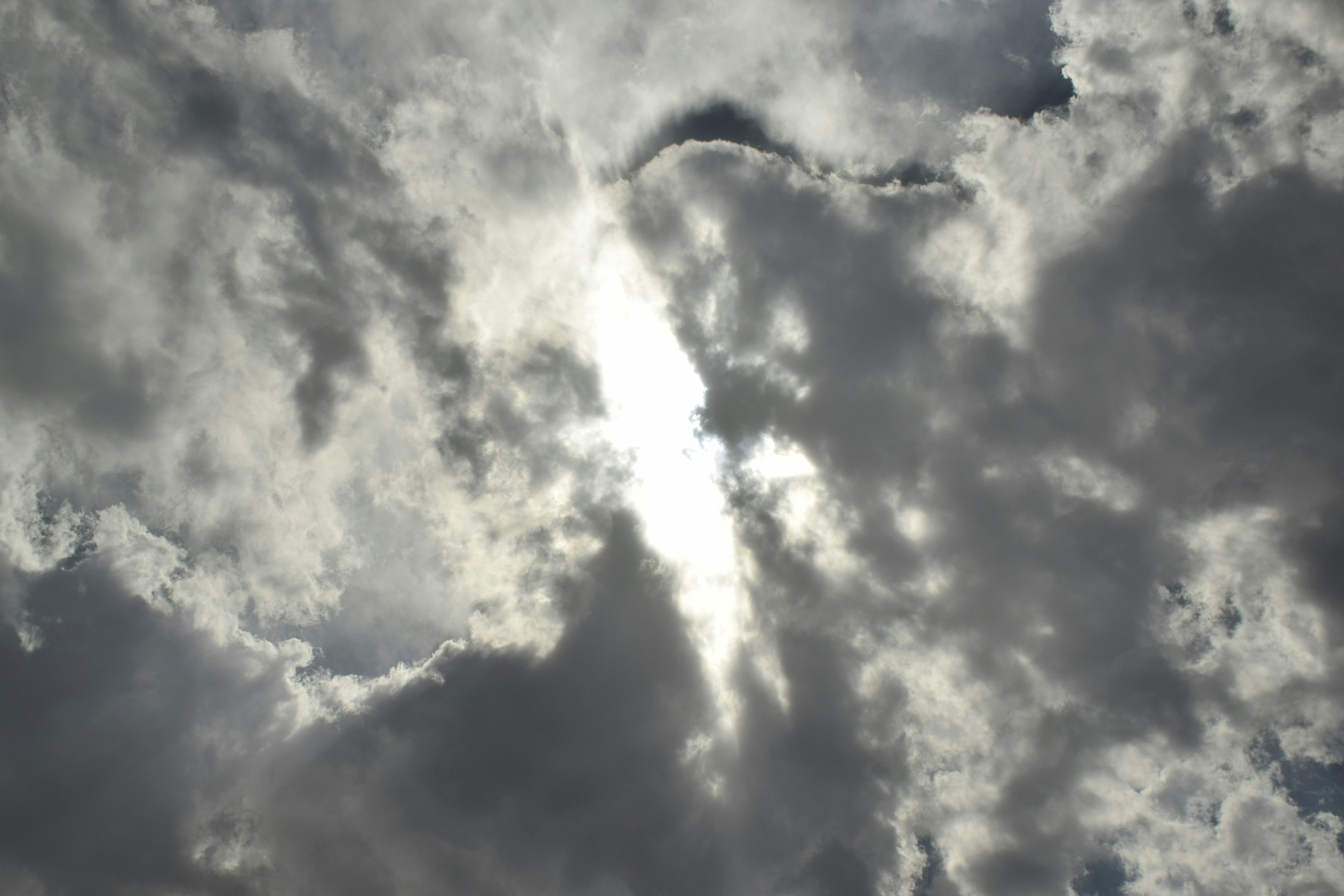 Free Unsplash photo from AmirHossein Esmaeili