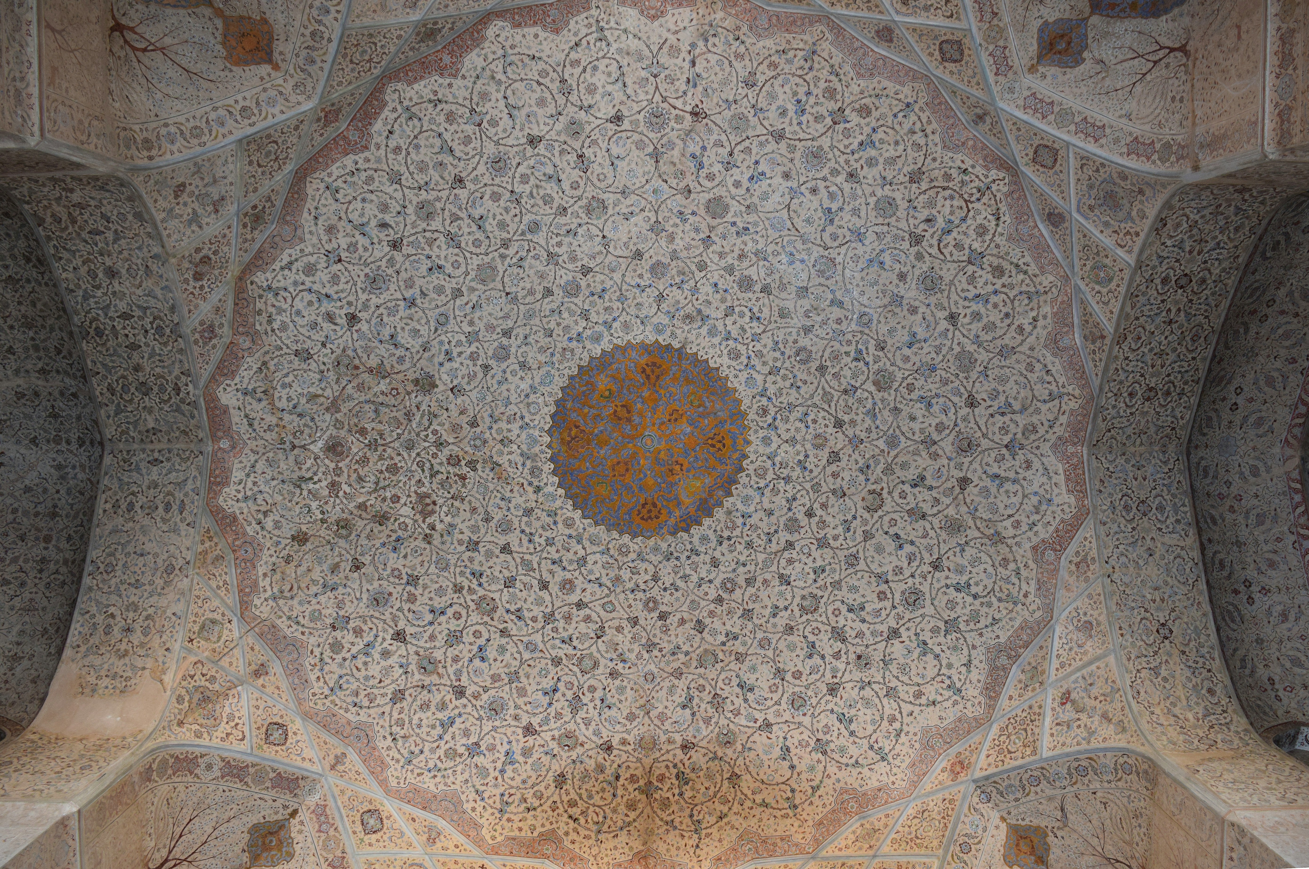 Free Unsplash photo from AmirHossein Esmaeili