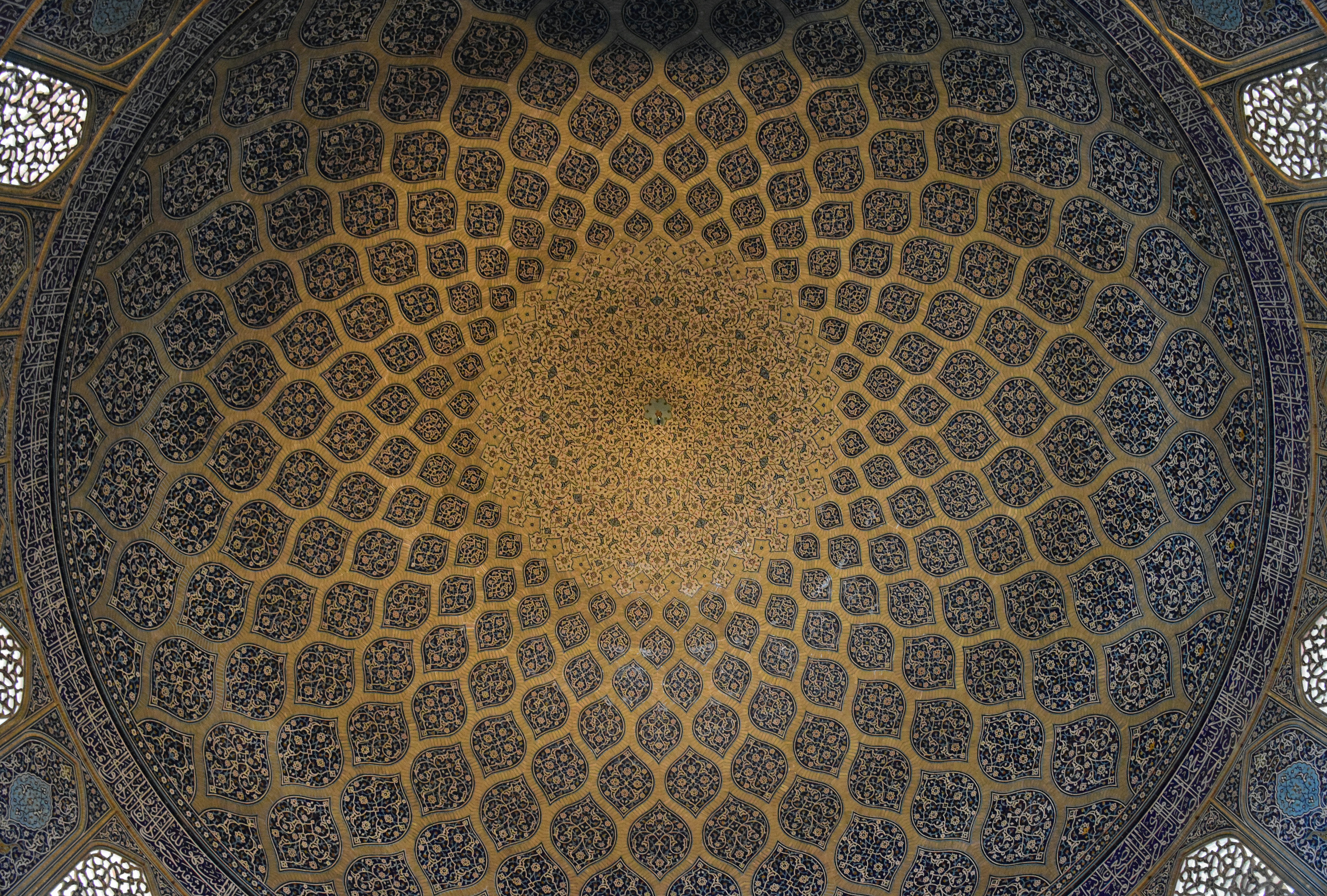 Free Unsplash photo from AmirHossein Esmaeili