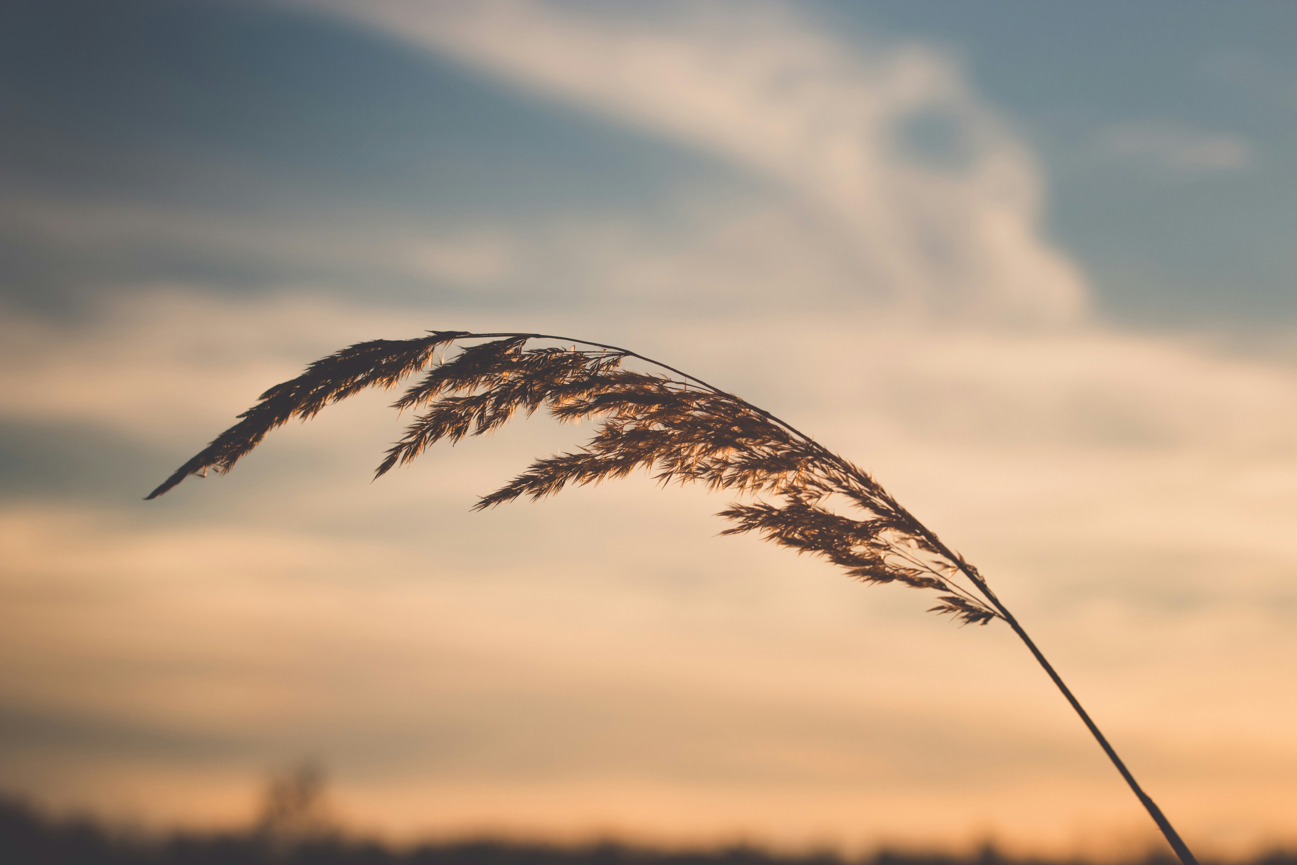 Sopron – Transportation & Getting Around