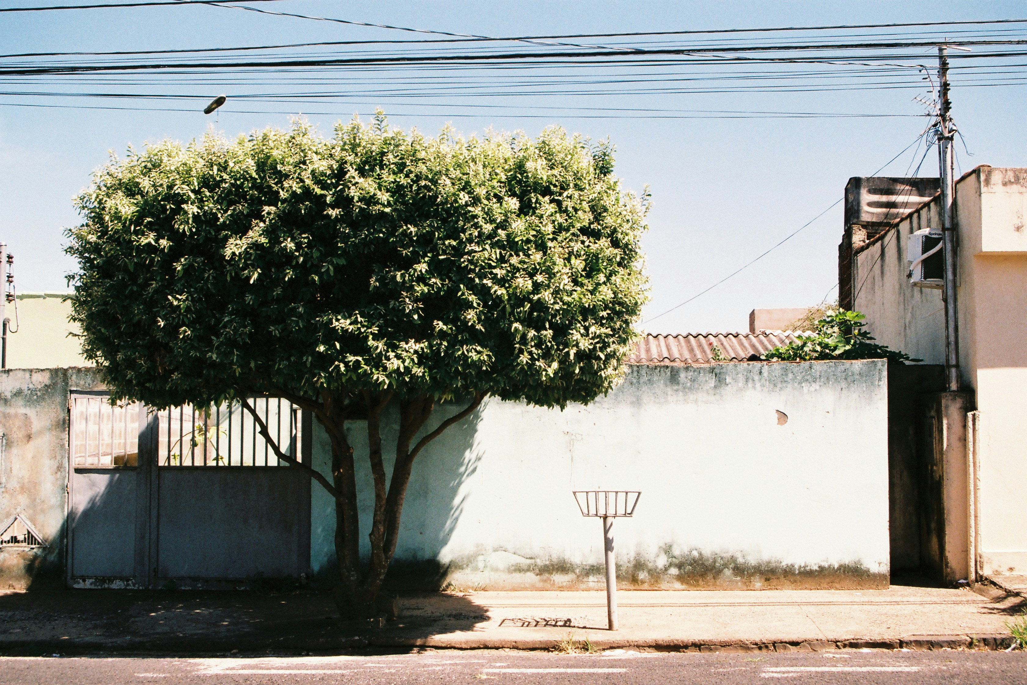 Free Unsplash photo from Pauline Catala