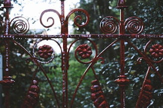 An ornate metal fence with intricate scrollwork and floral designs stands in front of a lush green background. The fence is painted a deep, rusty red color and has graffiti or writing in white scattered across various parts. The forested area behind the fence is slightly blurred, creating depth.