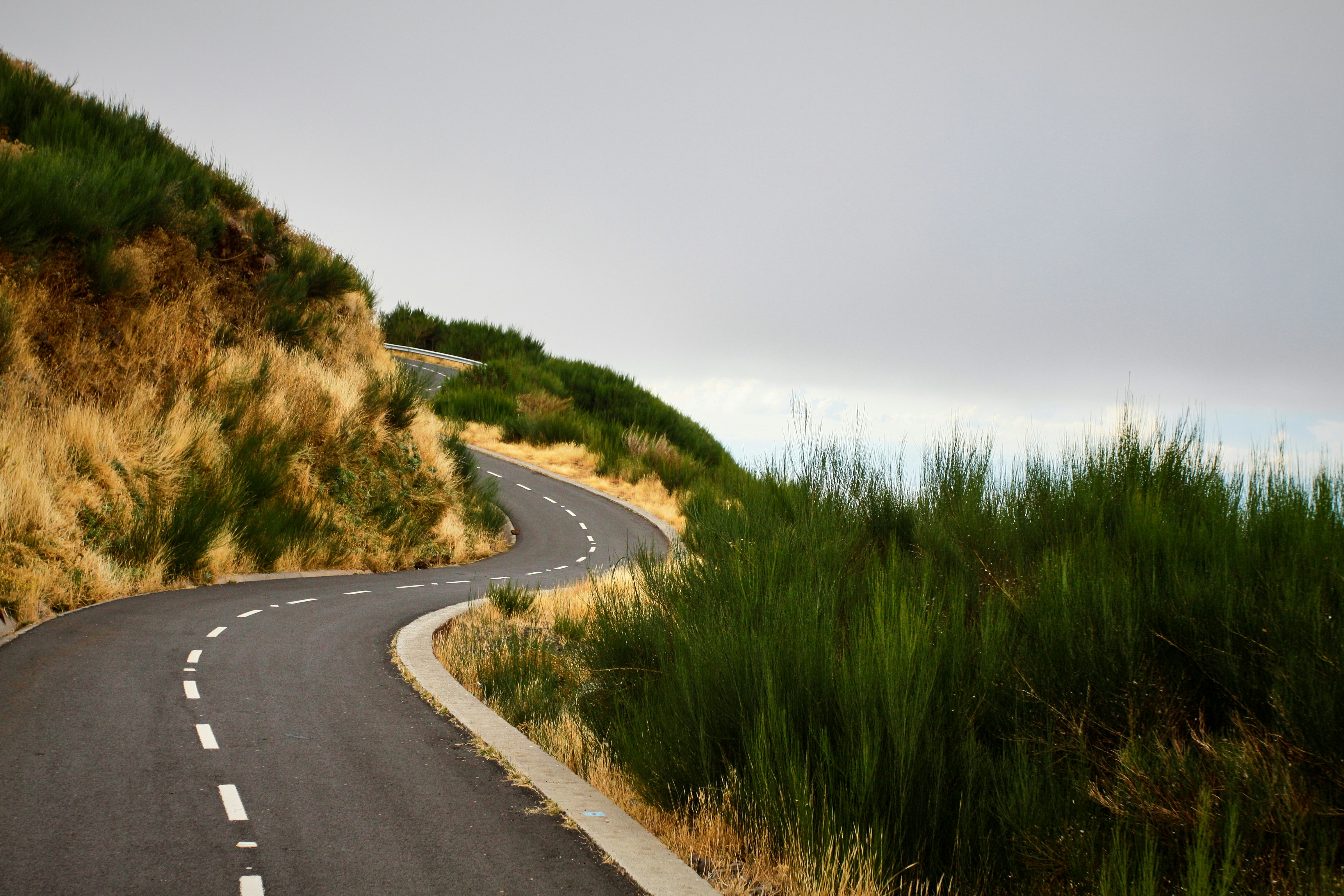 Free Unsplash photo from Jarek Nakielny