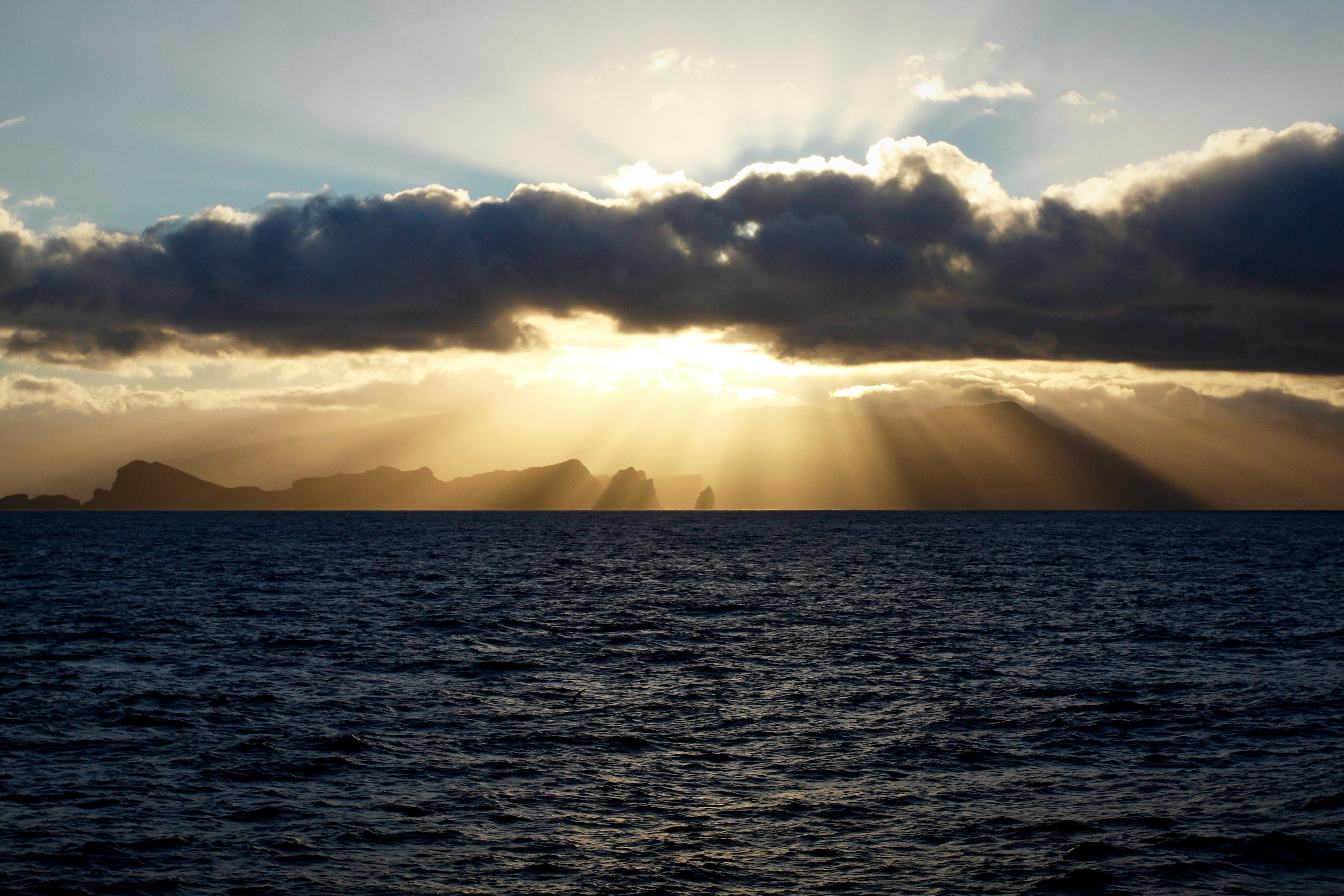 Free Unsplash photo from Jarek Nakielny