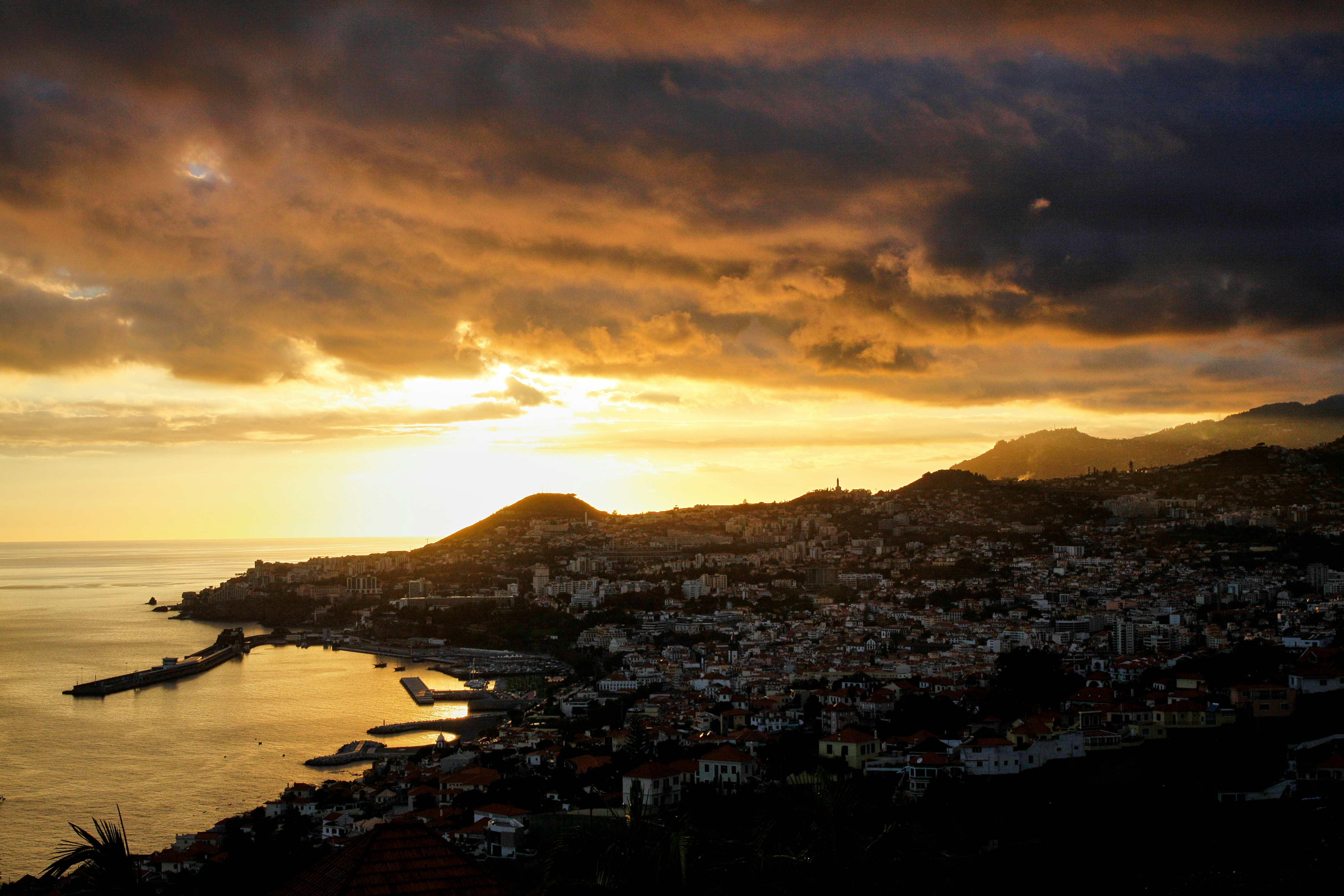 Free Unsplash photo from Jarek Nakielny