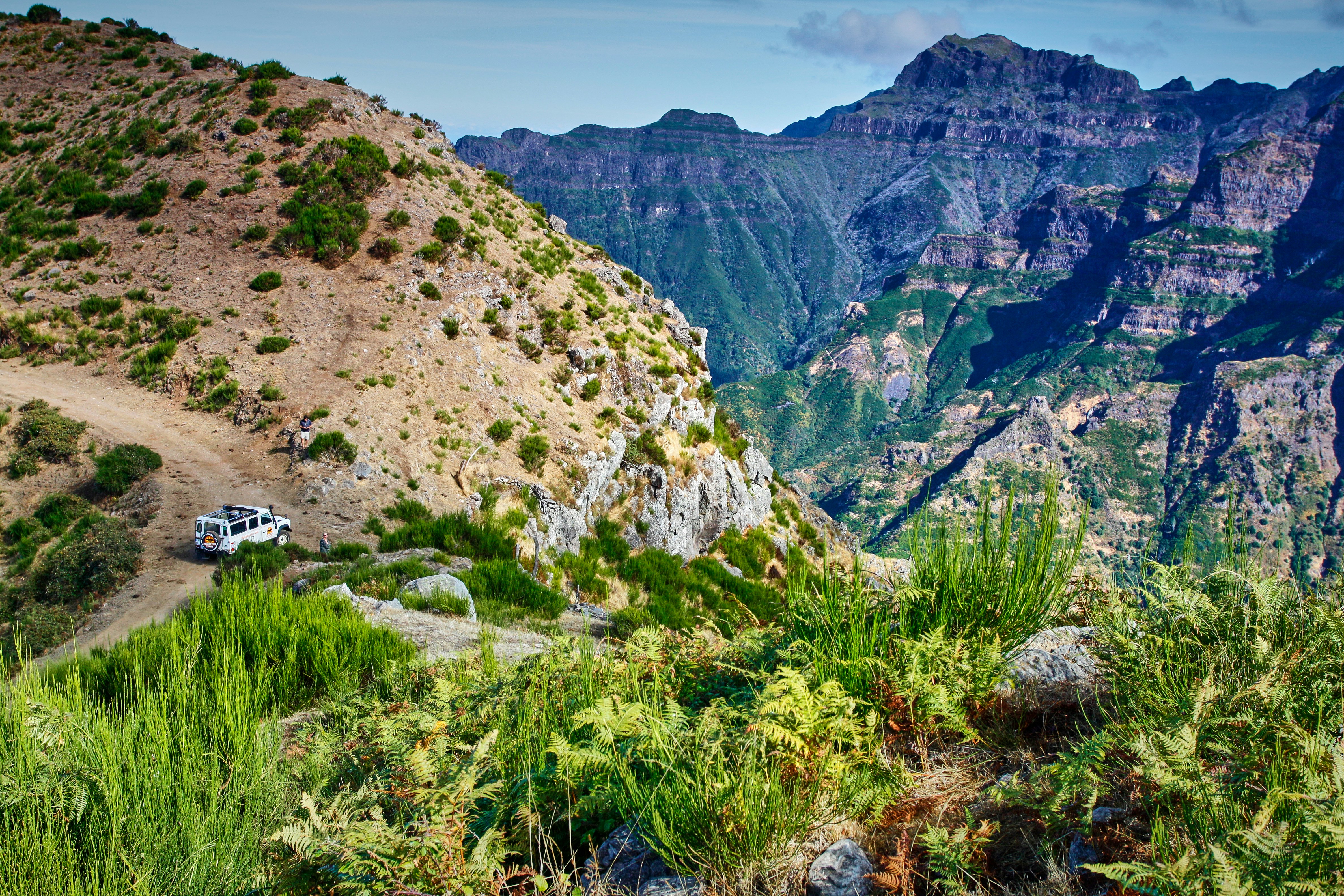 Free Unsplash photo from Jarek Nakielny