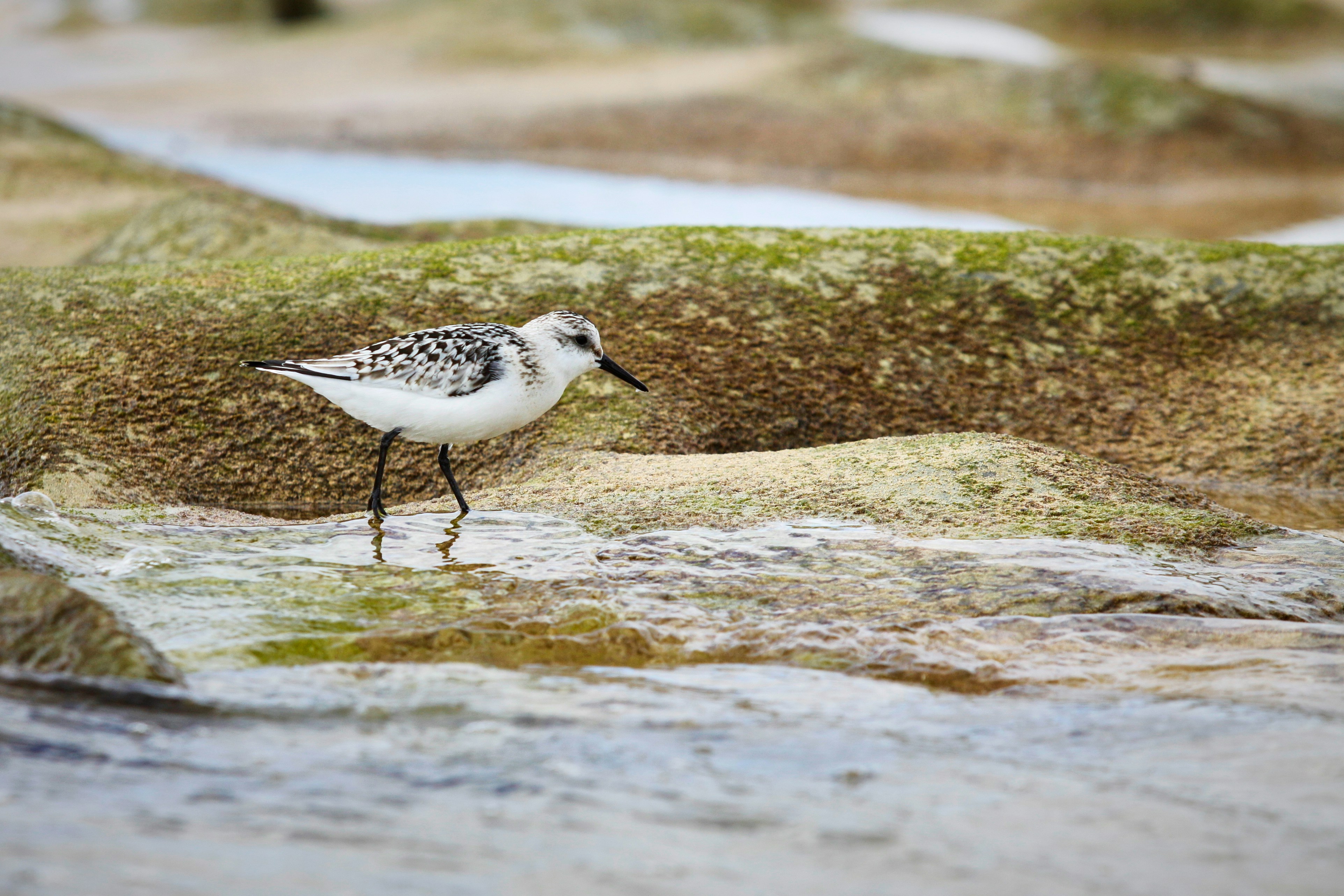 Free Unsplash photo from Jarek Nakielny