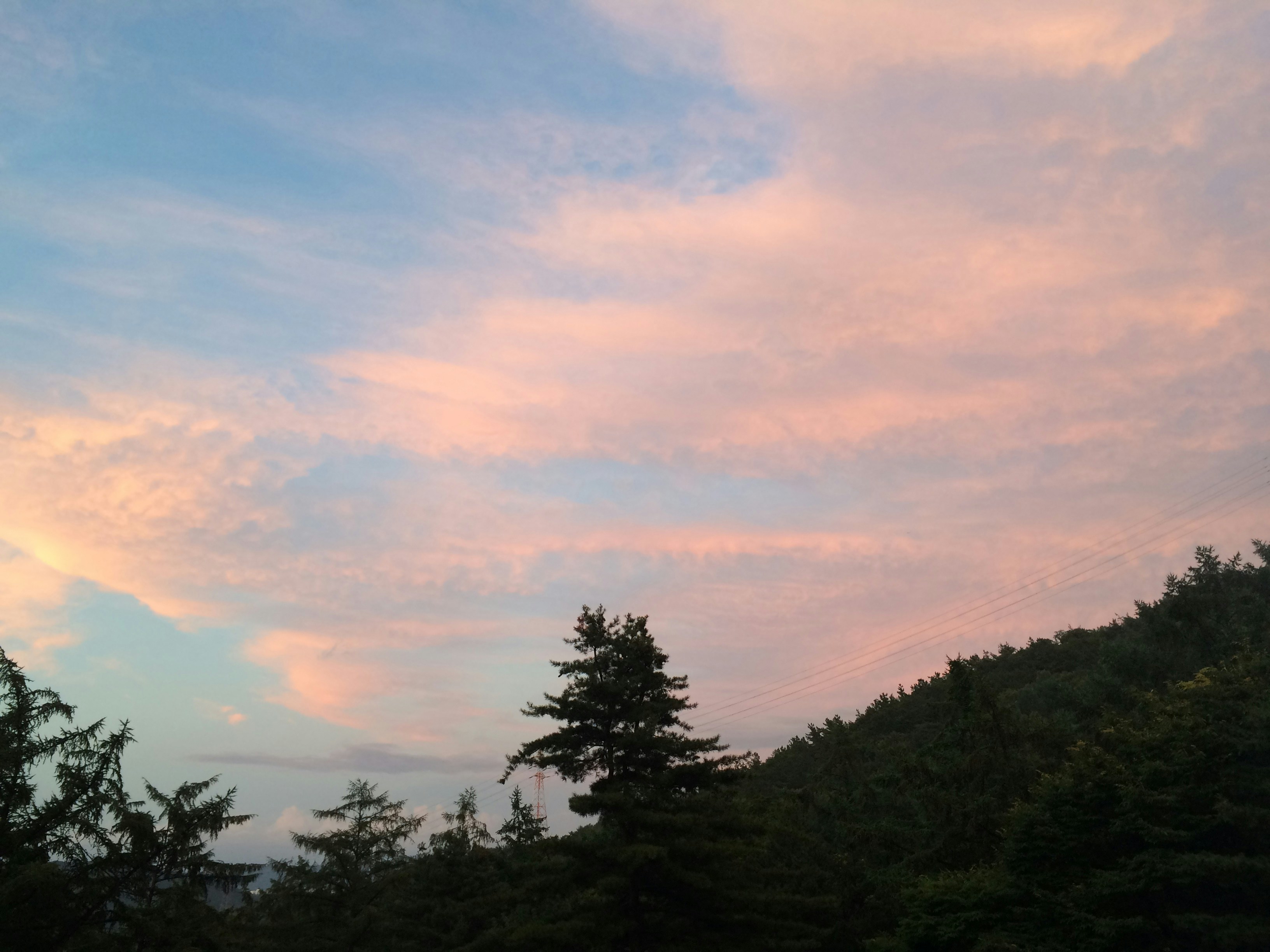 Free Unsplash photo from SEOWOO CHA