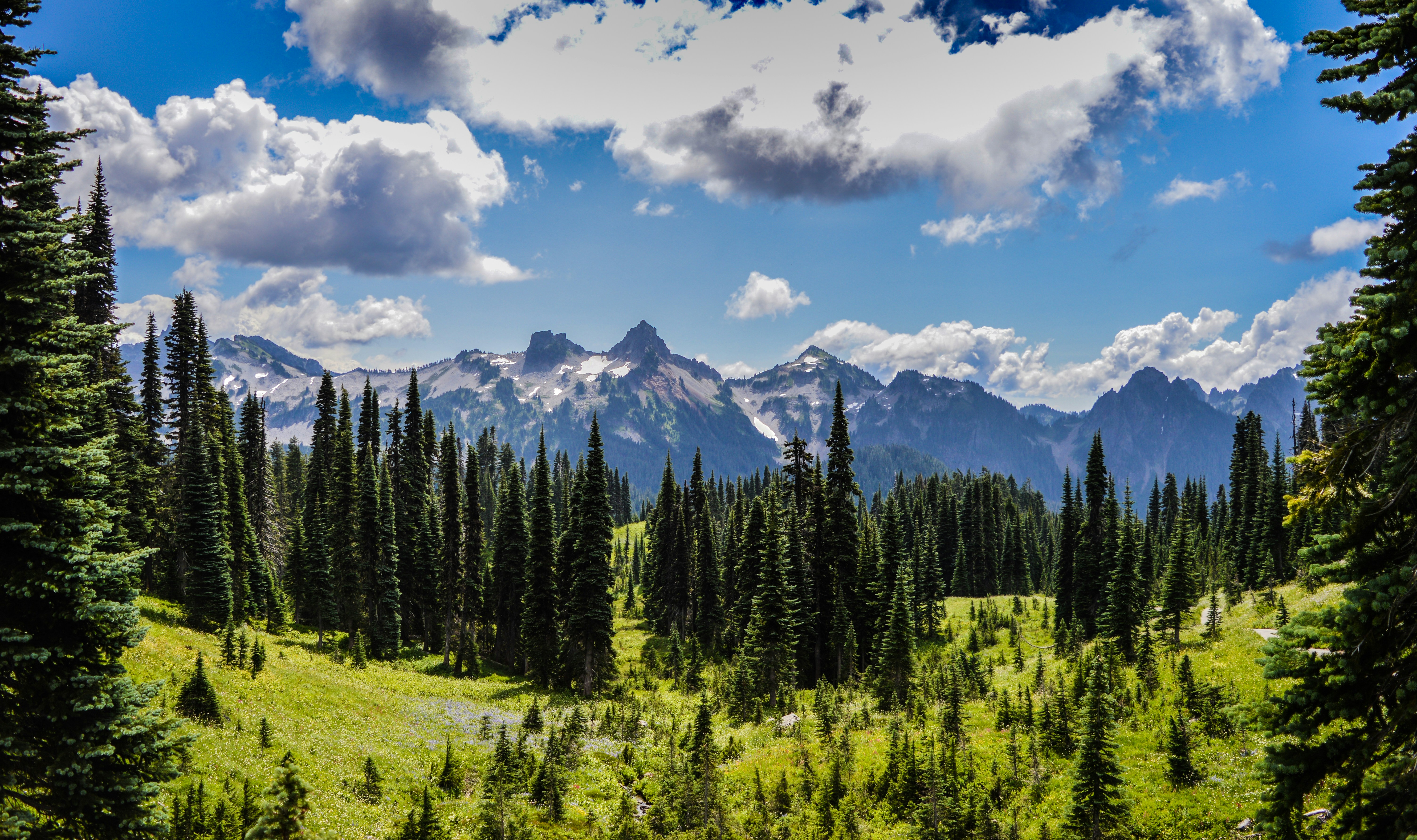 Free Unsplash photo from Julien Samson