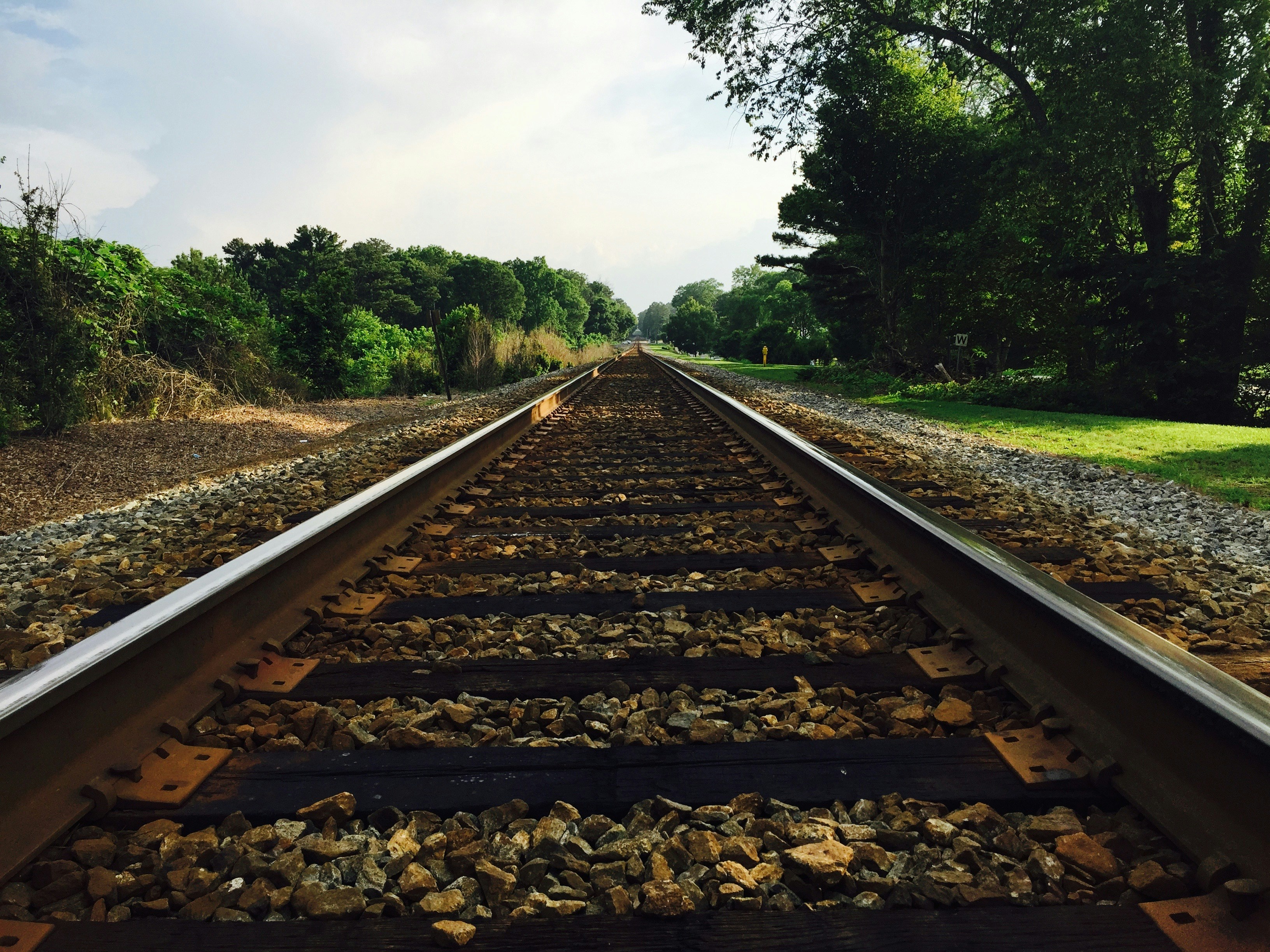 Free Unsplash photo from Marifer