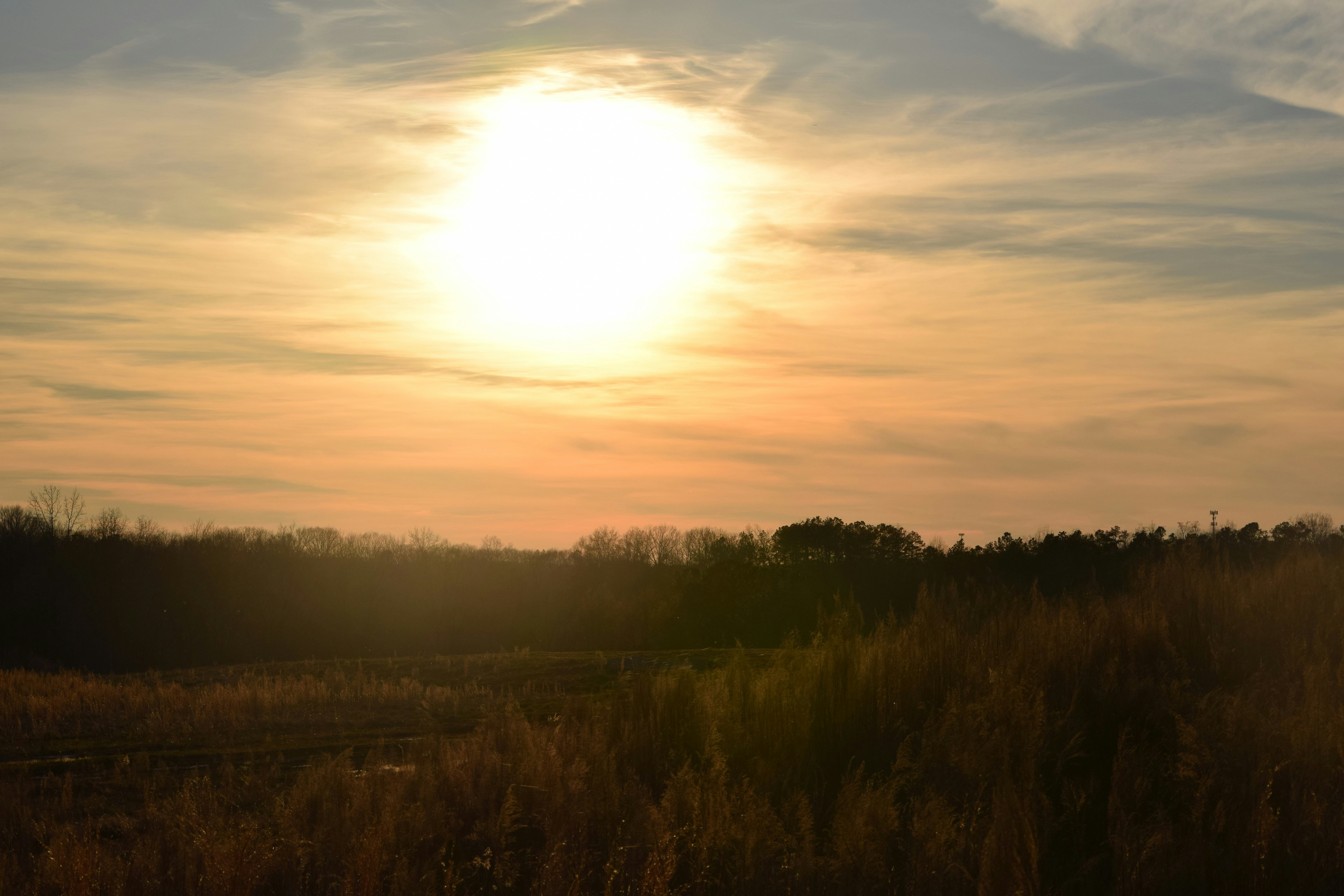 Free Unsplash photo from Marifer