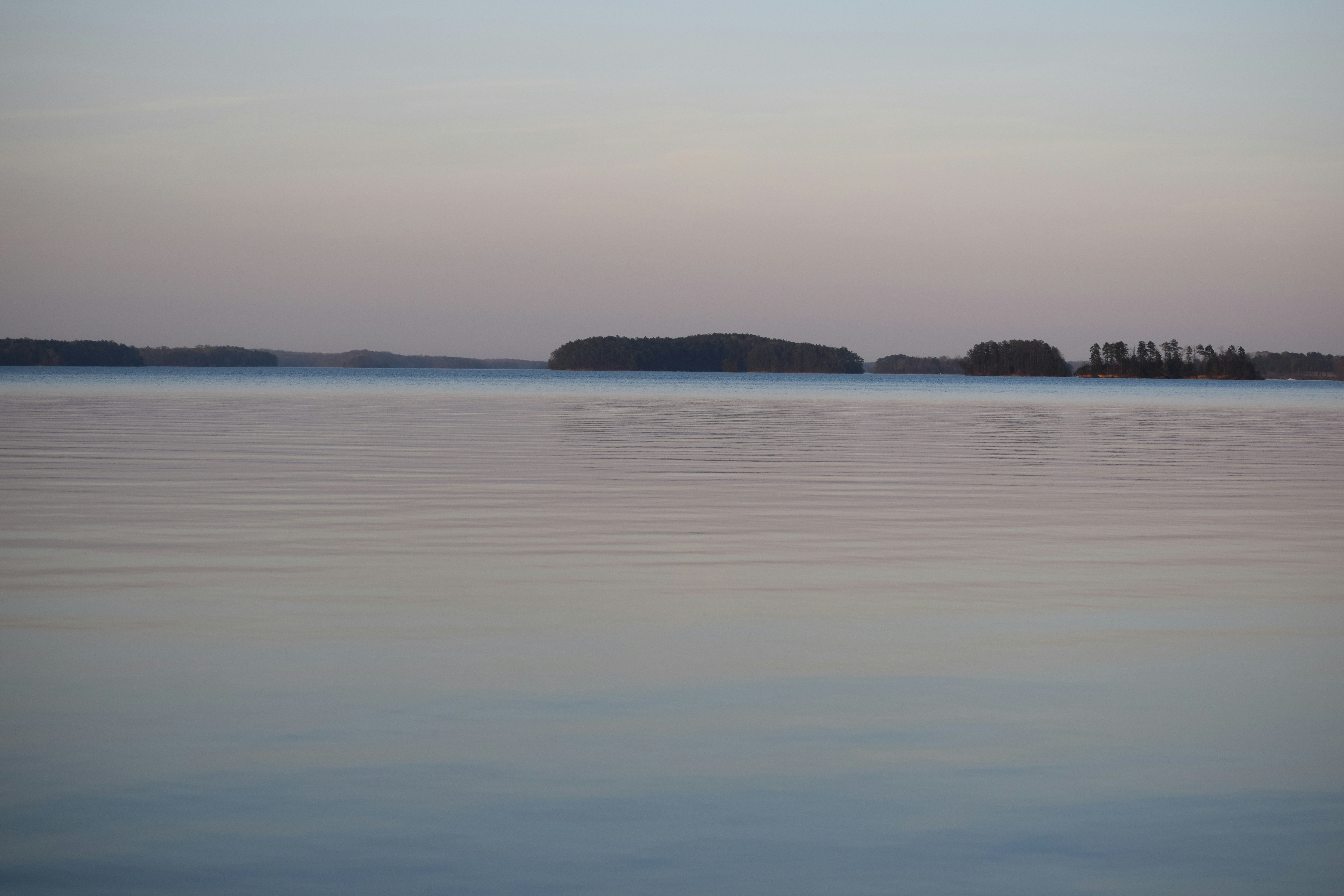 Free Unsplash photo from Marifer