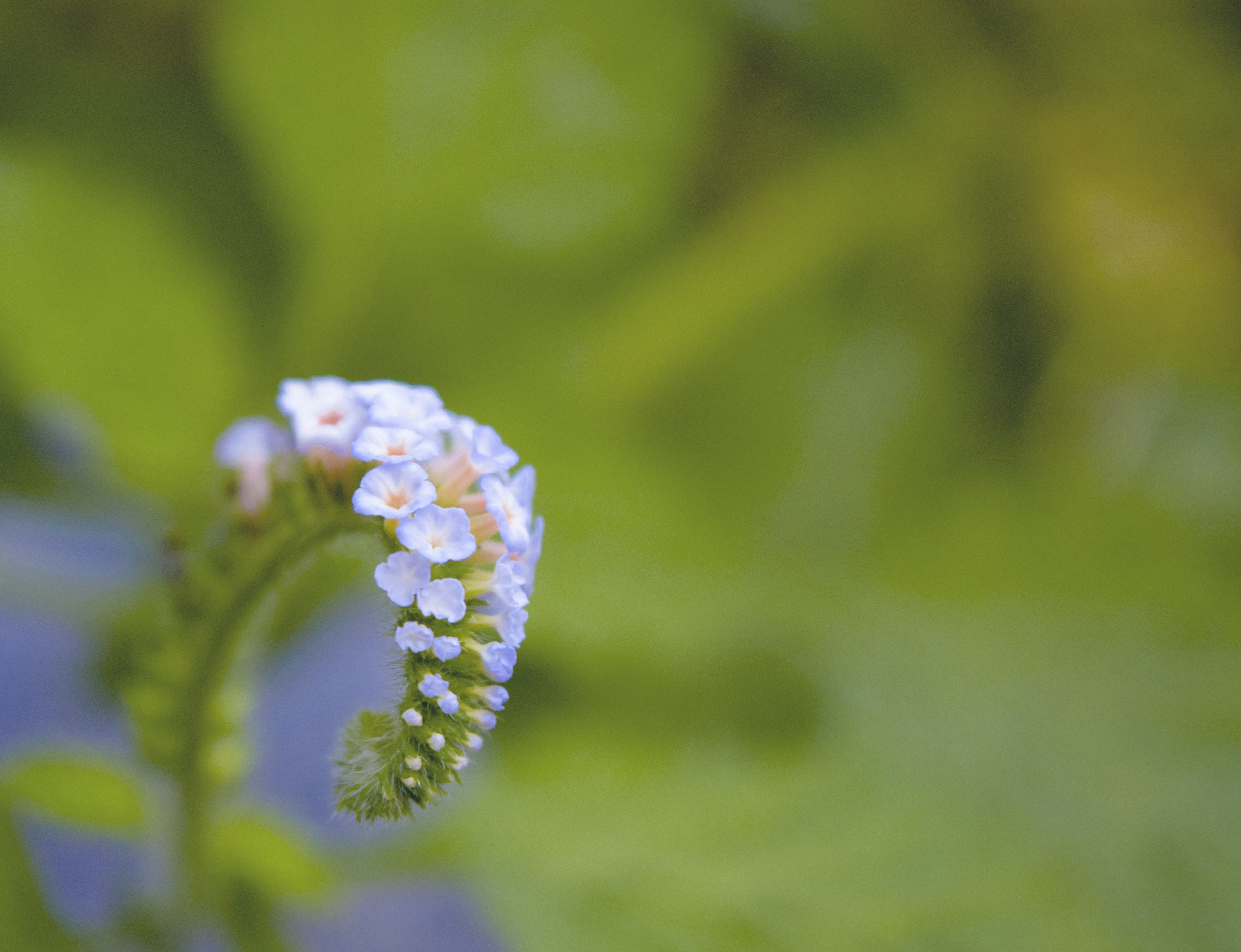 Free Unsplash photo from Richard Willams