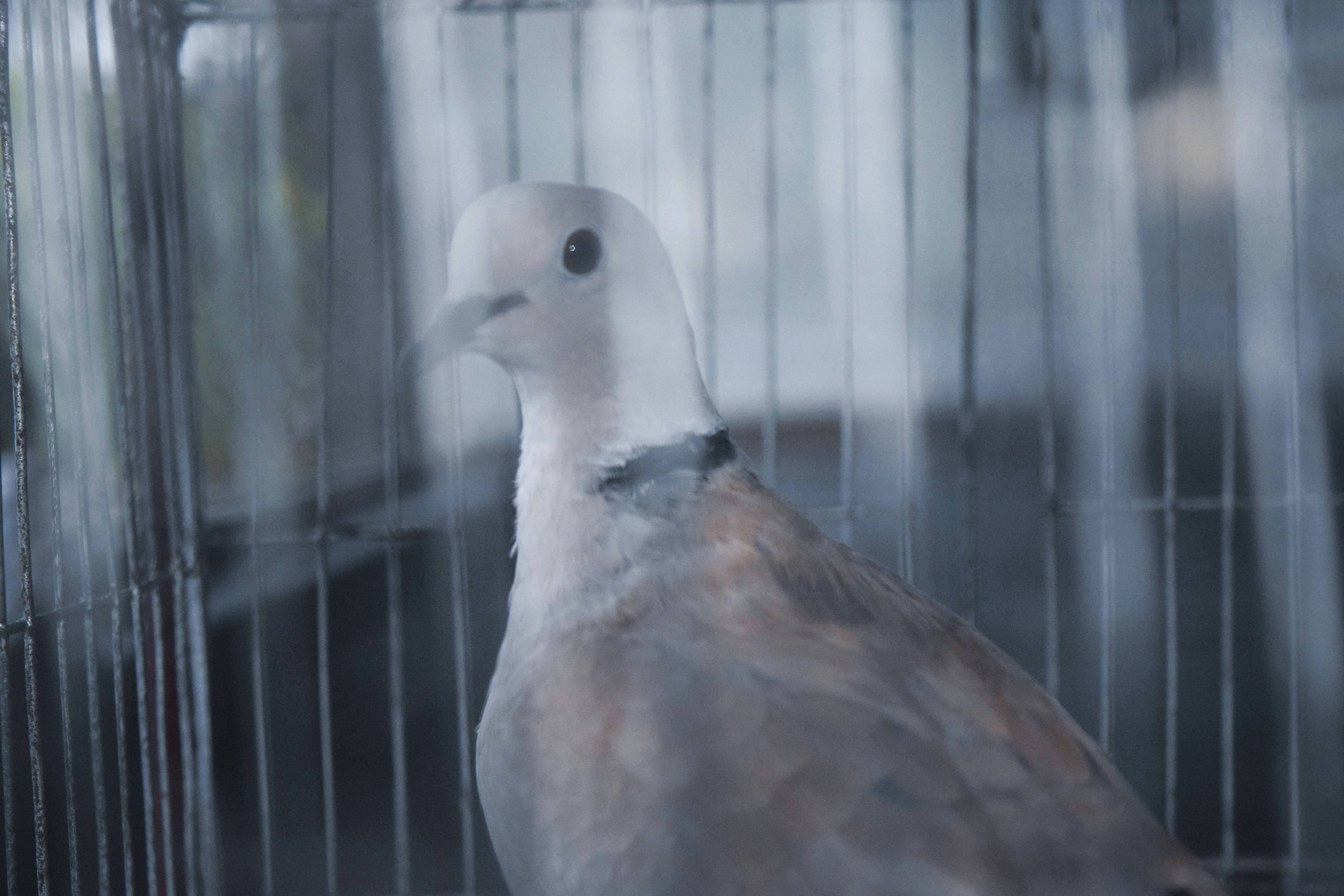 Free Unsplash photo from Richard Willams