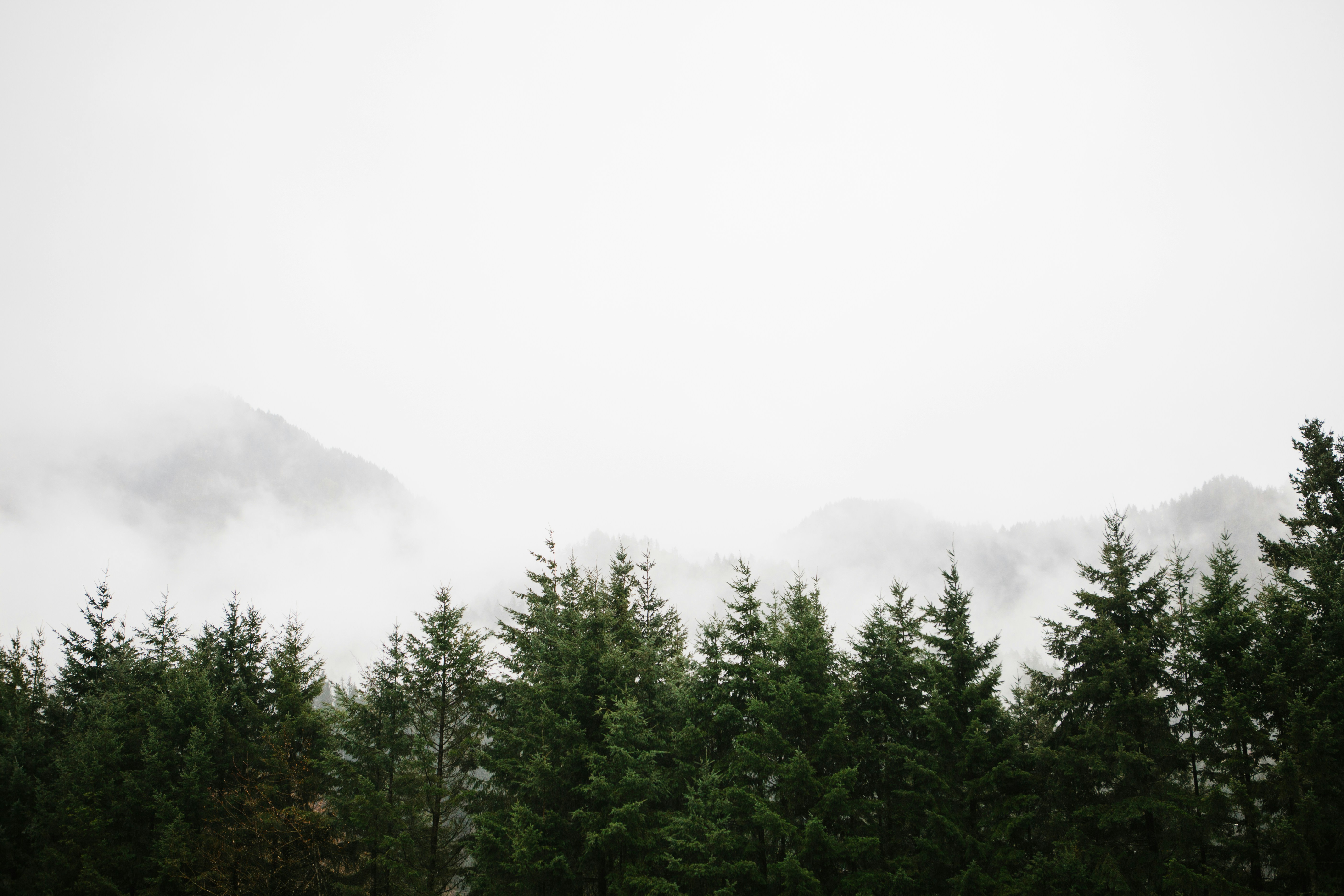 Free Unsplash photo from Kristine Weilert