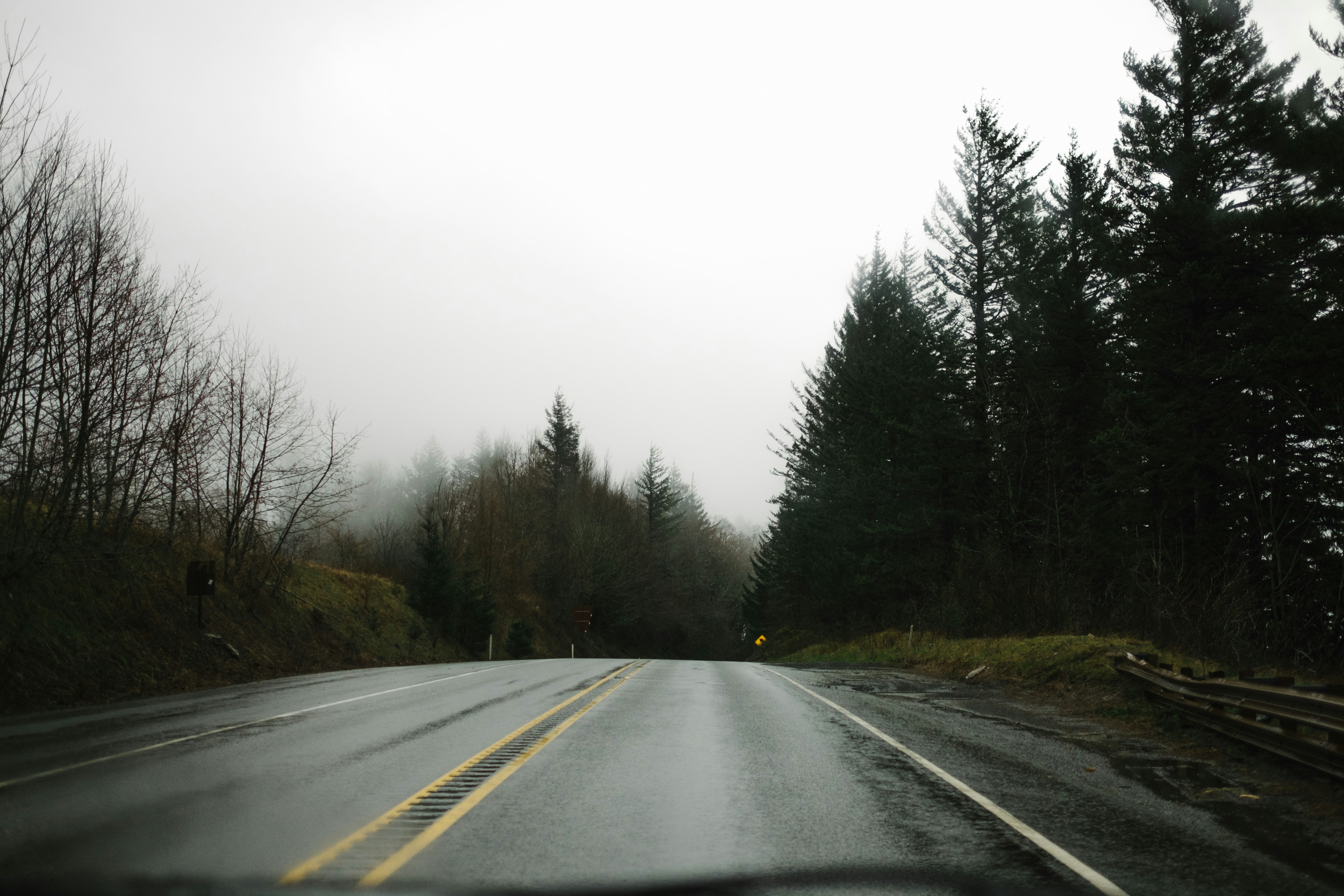 Free Unsplash photo from Kristine Weilert