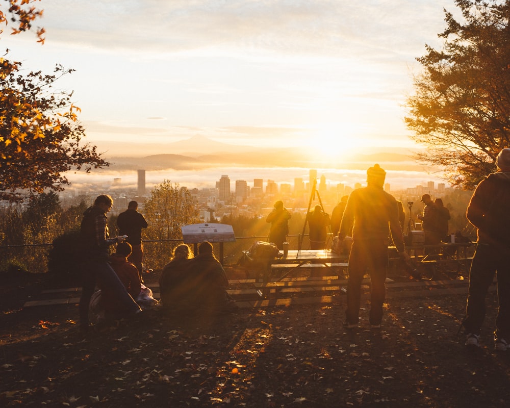 silhouette photography of people standing and sitting near trees over viewing high rise buildings