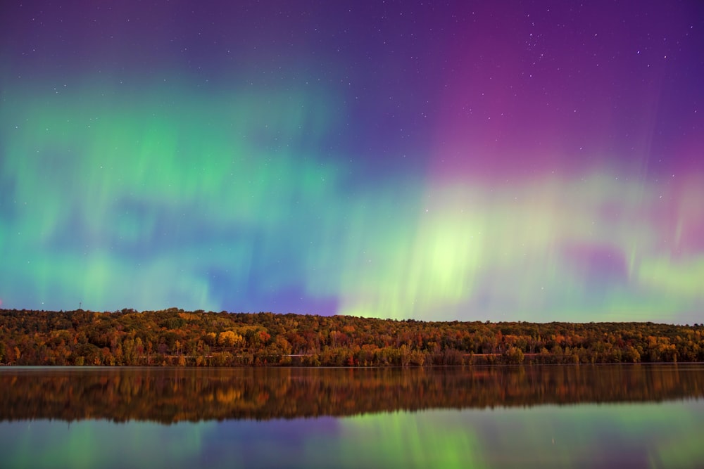 Polarlichthimmel unter Waldbäumen