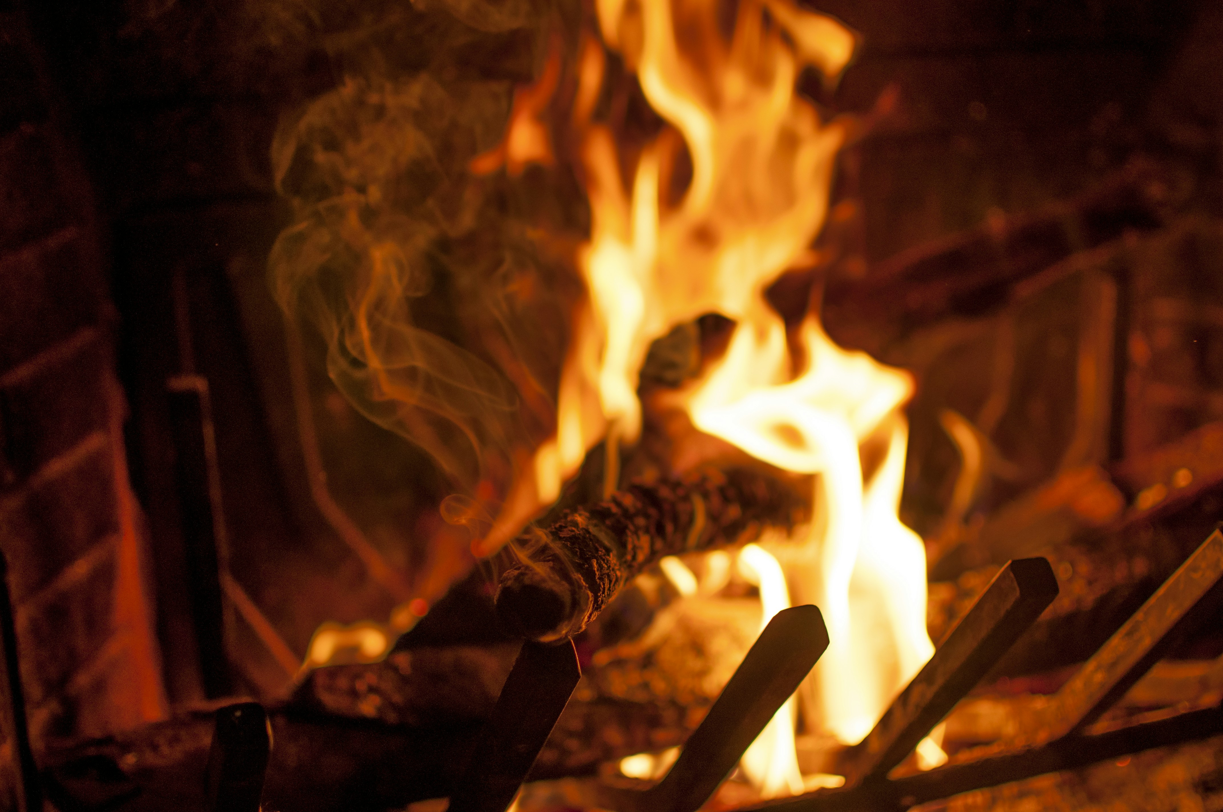 Free Unsplash photo from S D