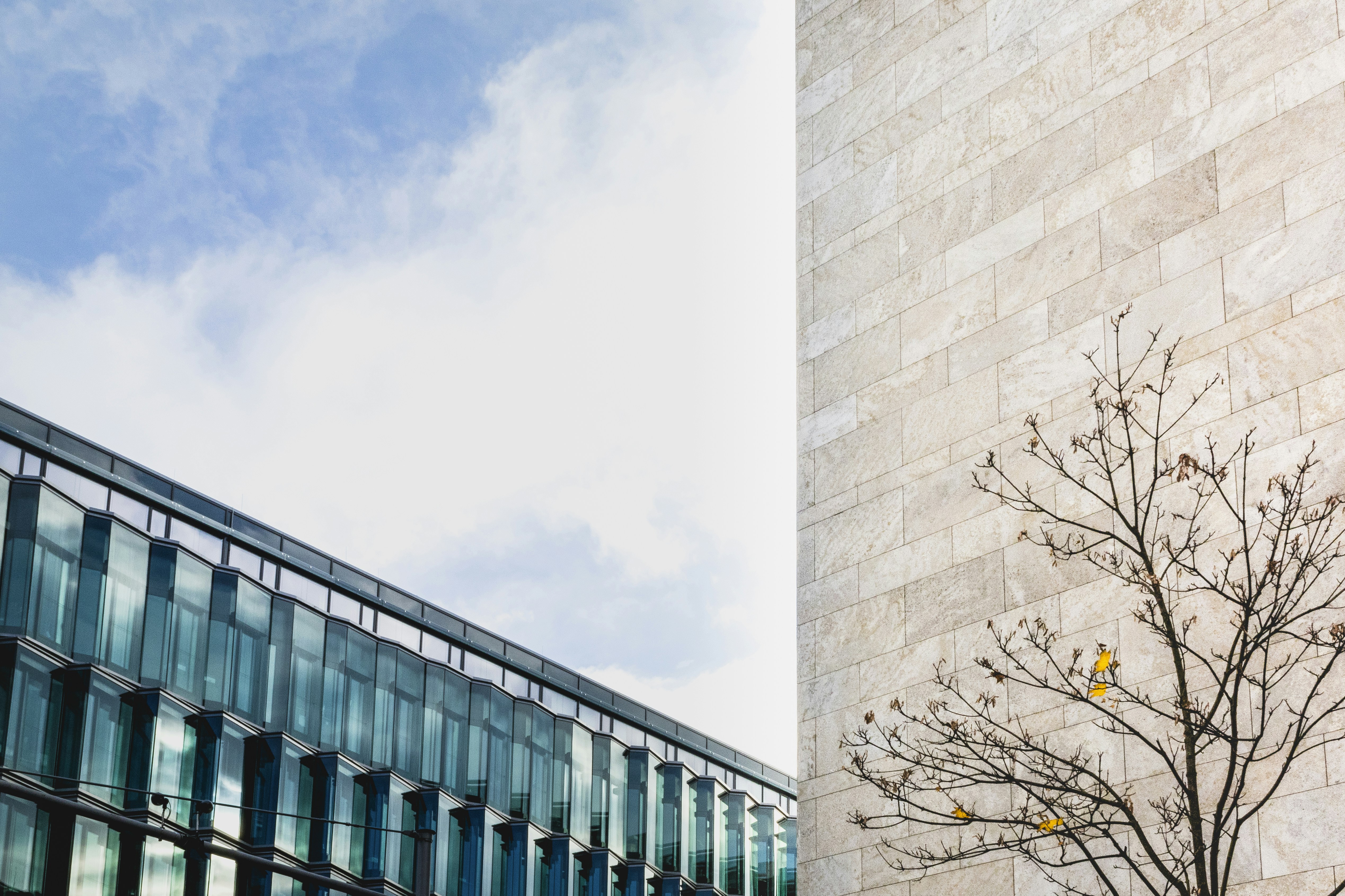 Free Unsplash photo from Morgana Bartolomei