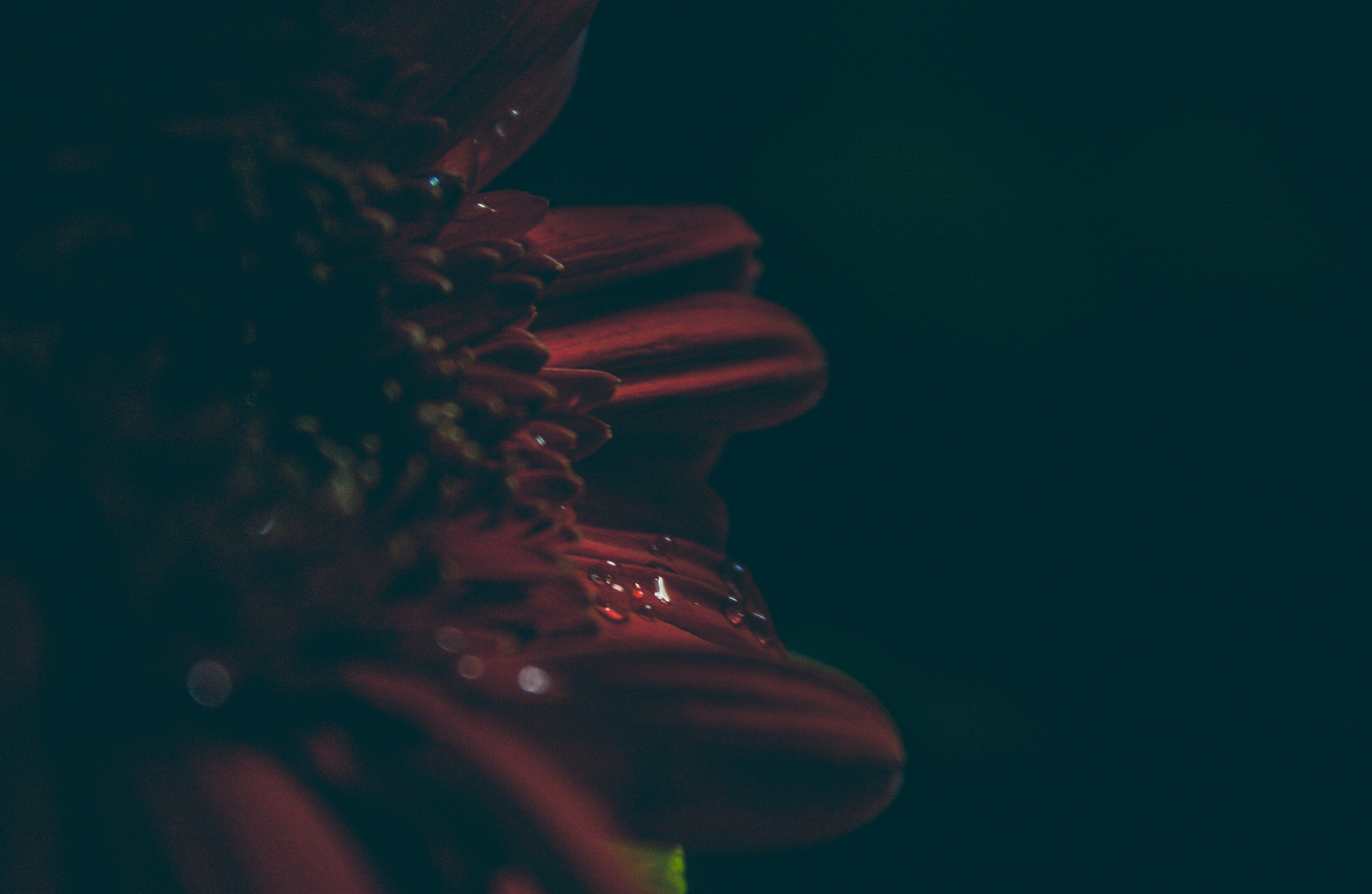 Free Unsplash photo from Prathmesh Sawant