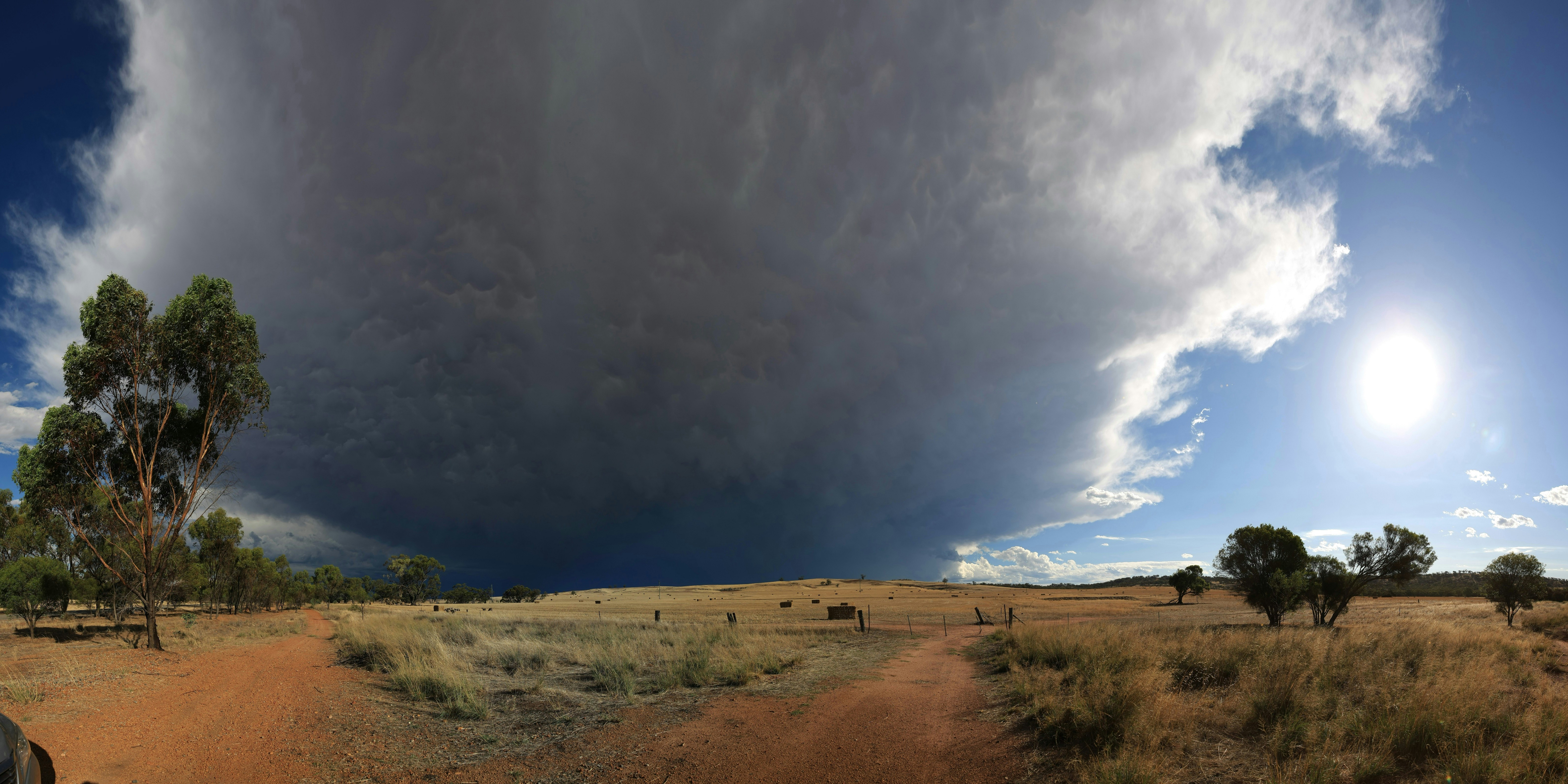 Free Unsplash photo from Tim Bryden